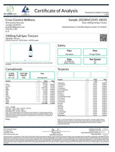 Load image into Gallery viewer, 1000mg Full Spectrum Hemp CBD Oil for Pets