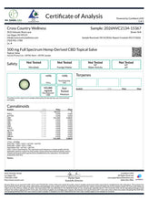 Load image into Gallery viewer, 500mg Hemp-Derived CBD Topical Cream | Targeted Comfort Support | THC-Compliant
