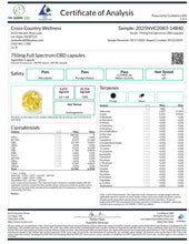 Load image into Gallery viewer, 750mg Full Spectrum Hemp-Derived CBD Capsules
