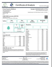 Load image into Gallery viewer, 600mg Full Spectrum Gummies (20count 15mgCBD/15mgCBN)
