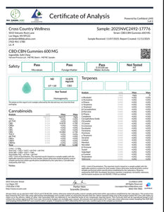 CBD + CBN Gummies - Blue Raspberry 600mg