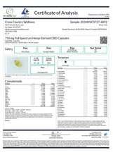 Load image into Gallery viewer, 750mg Hemp-Derived CBD Capsules with box packaging - Cross Country Wellness
